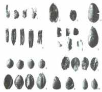 archaeologie-krefeld.de Benrad