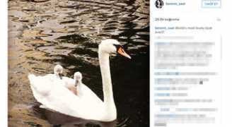 turkiyegazetesi.com.tr Benre