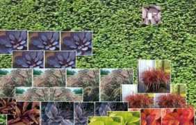 dominstil.si Bentila