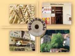 schlossmuehle-unterschwandorf.de Benux
