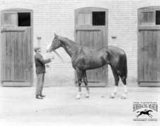 Beppo