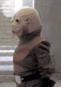 Bequin
