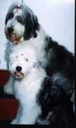 berusky.aurore.cz Beralt