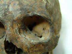 ancientdigger.com Berawan