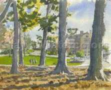 grayswatercolors.com Berchman