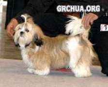grchua.org Beregov