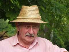 tolnaart.hu Bereti