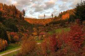 Bergach