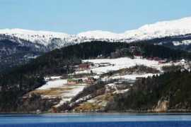 Bergem