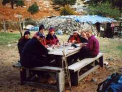 Bergeris
