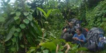 travel.kompas.com Bergiat
