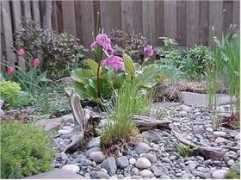 icangarden.ca Berginia