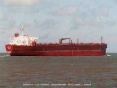 spanishshipping.com Bergitta