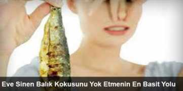 milliyet.com.tr Berketi