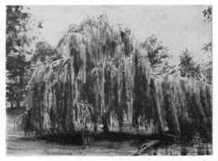 galerievandenberge.nl Berlanger