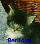 Berlioze