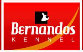 elisanet.fi Bernandos