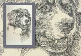 gallerynow.com Bernese