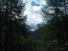 gentedimareitaliangenealogy.com Bernina