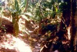 Berquier