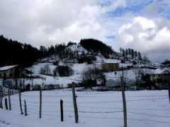 Berriz