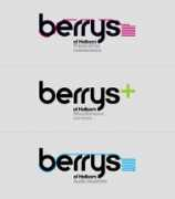 superfried.com Berrys