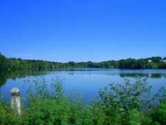 Bershad