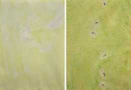 robertlangestudios.com Bertaglia