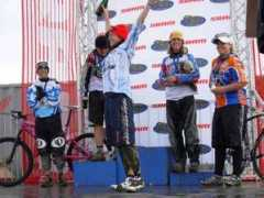 piratedh.com Bertein