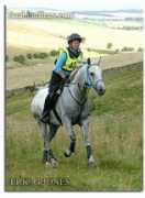 arabianlines.com Bertham