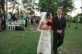 peterschrock.com Bertling