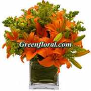 greenfloral.com Bertral