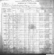 us-census.org Berttie