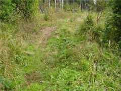 chinamobil.ru Besena