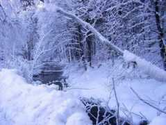 Beskid