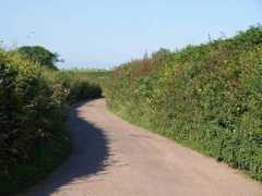 geograph.org.uk Besley