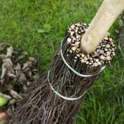 Besom
