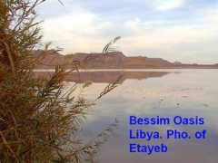 aps.group.shef.ac.uk Bessima