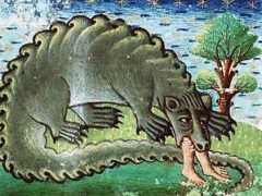 viajes.elpais.com.uy Bestiario