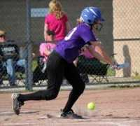 thedailynews.cc Beteh