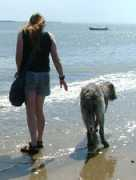 irishwolfhound.co.uk Betime