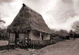 Betos