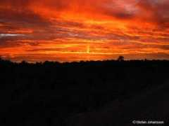 avesphoto.se Bettache
