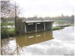 Betton