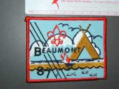thescoutpatchauction.com Beumont