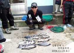 daehanfishing.co.kr Beung