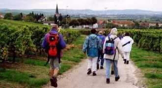 dav-ruesselsheim.de Beuthe
