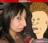 Bevis