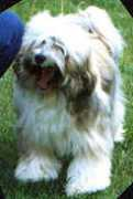 Beylu
