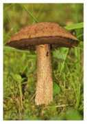 ephoto.sk Bezat